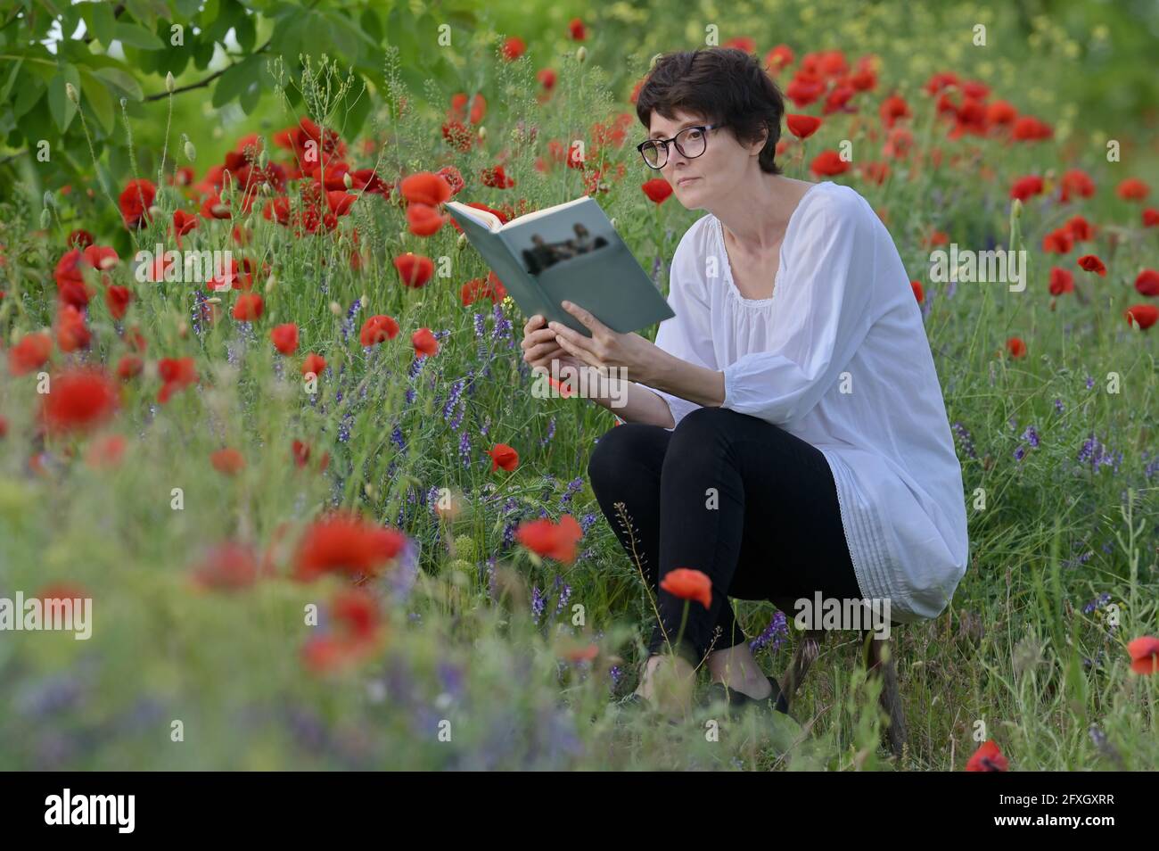 Woman In A Poppy Field Reading and Holding A Book Stock Photo