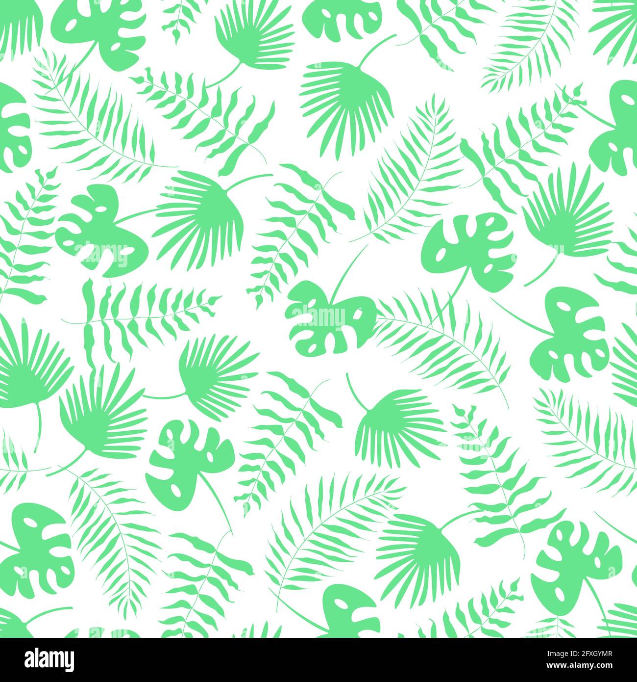 Seamless pattern green palm leaf set. Vector illustration tropical plants Stock Photo