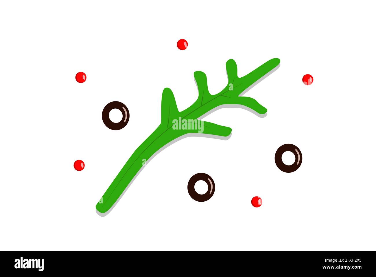 Arugula leaf, olive slices and red pepper peas. Vector illustration of seasoning Stock Photo