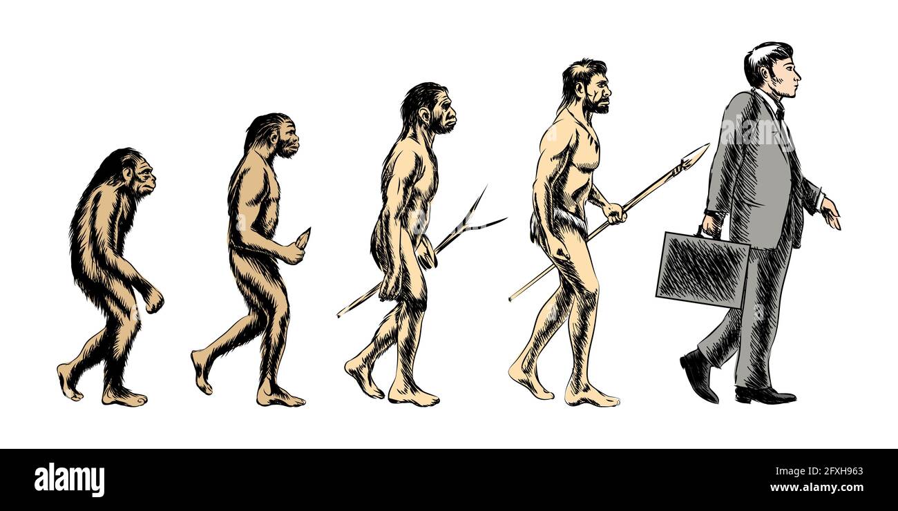 Evolution Of Man Ape To Human Drawing High Resolution Stock Photography ...