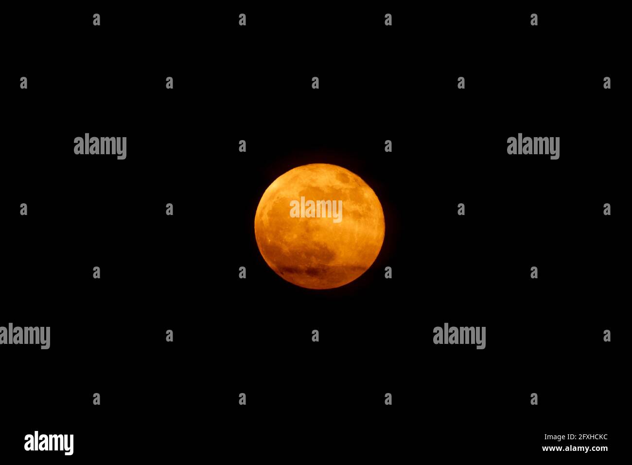 Orange full moon on black night sky. Blood moon. Flower moon. Lunar