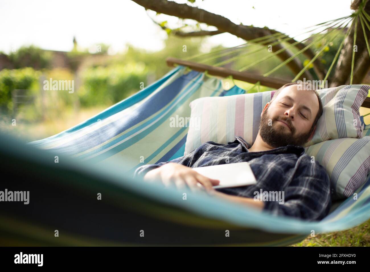 Serene man with digital tablet sleeping in backyard summer hammock Stock Photo