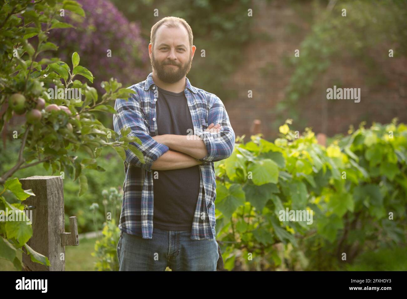 Portrait confident handsome man with beard in garden Stock Photo