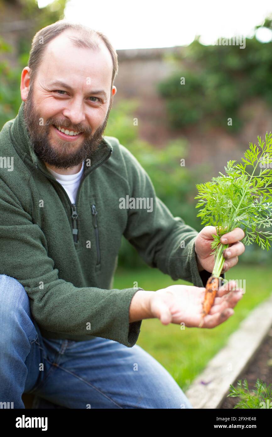 Portrait happy man with beard showing fresh harvested carrot in garden ...