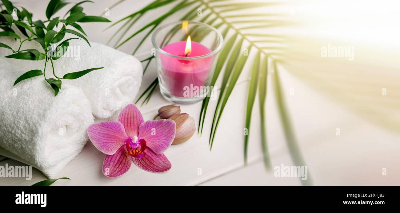 beauty spa treatment. body care background. banner copy space Stock Photo