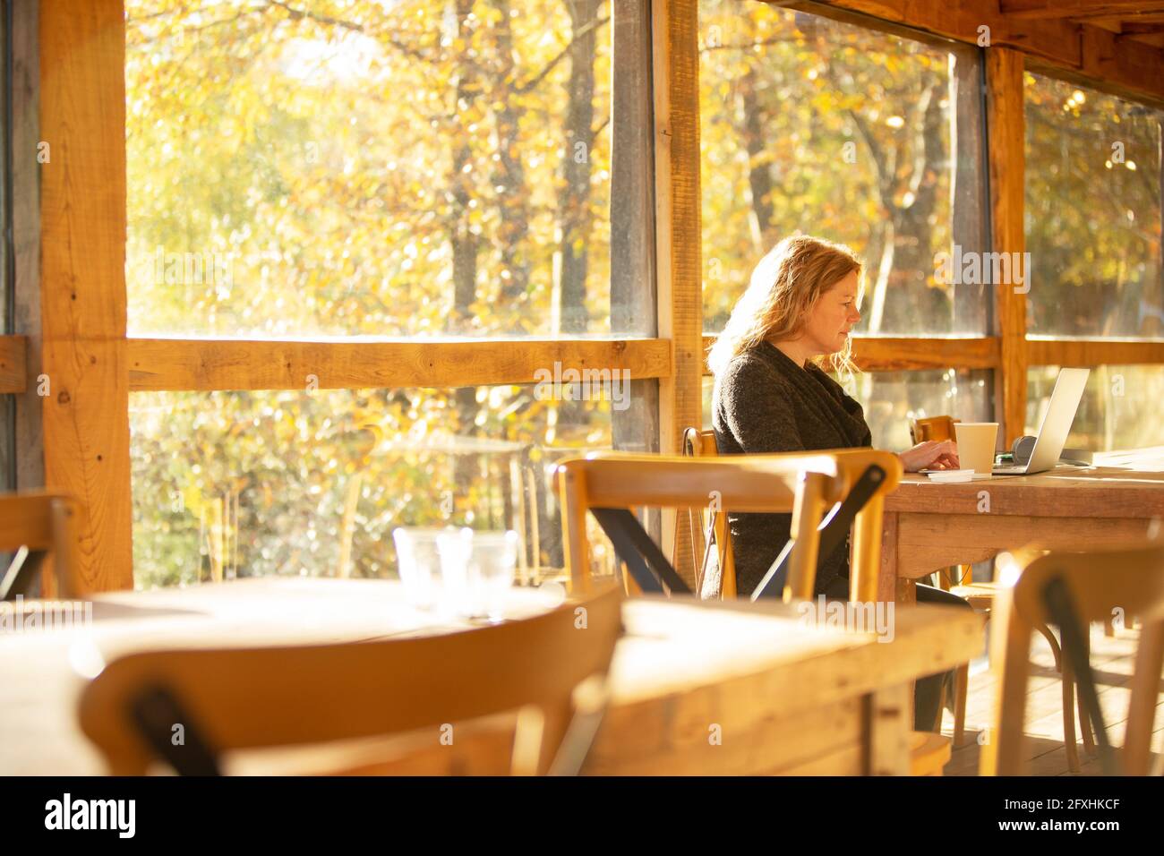 Female business owner working at laptop in sunny autumn cafe Stock Photo