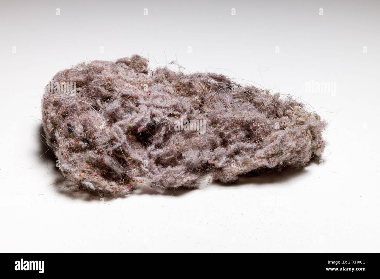 A big wool mouse full with dust mites Stock Photo Alamy