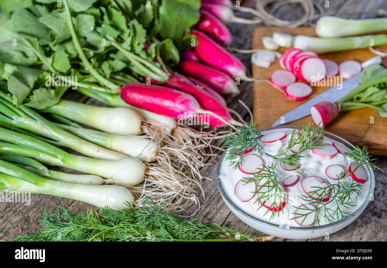 Dietary breakfast, cottage cheese with radish, healthy vegetarian food concept Stock Photo