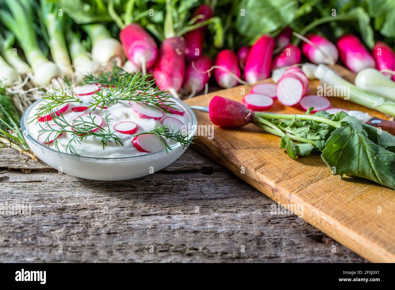 Dietary breakfast, cottage cheese with radish, healthy vegetarian food concept Stock Photo