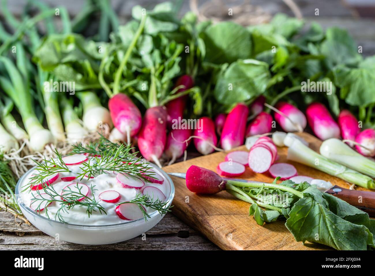 Dietary cottage cheese with radish, healthy eating, vegetarian diet concept Stock Photo