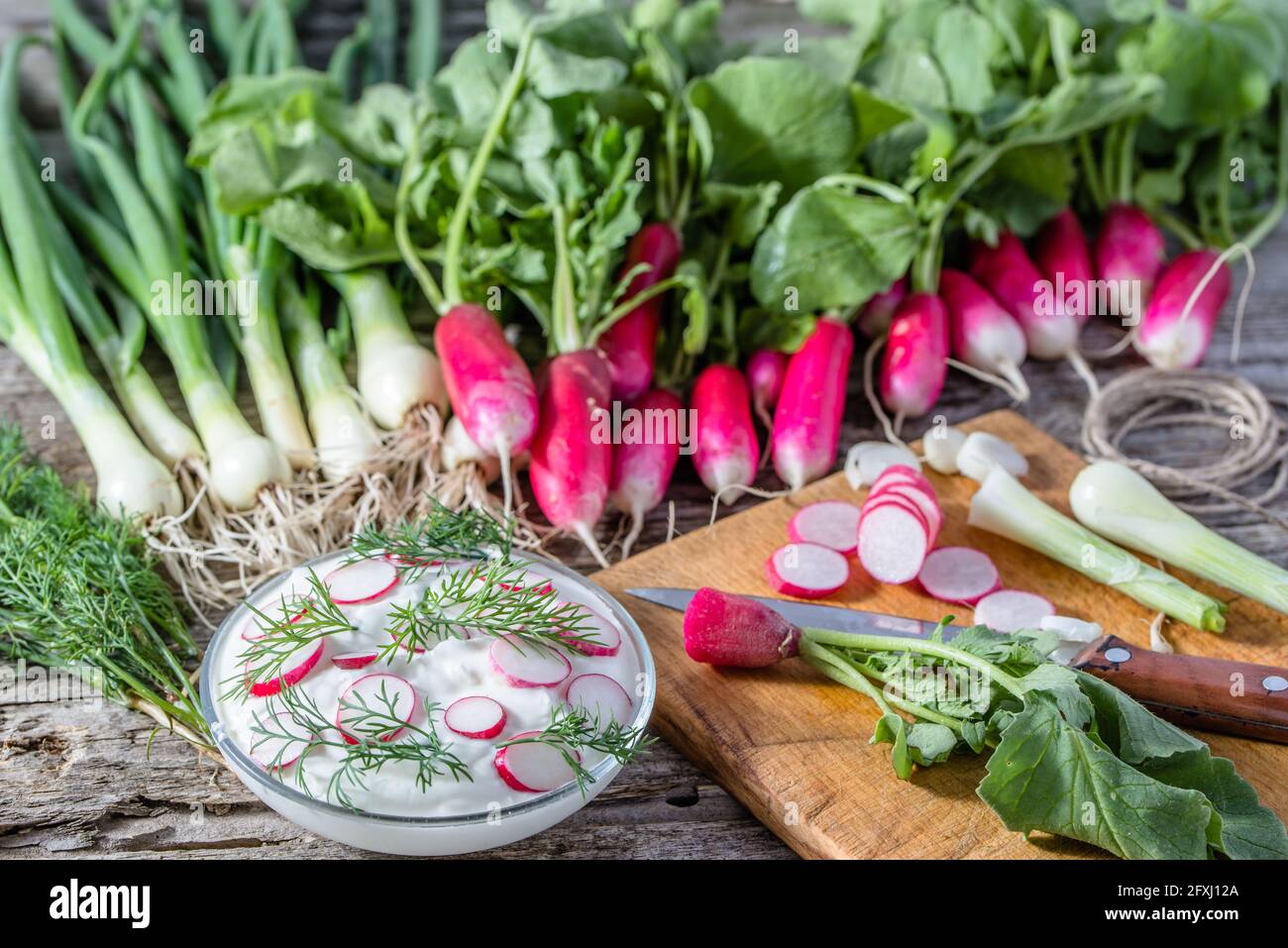 Dietary cottage cheese with radish, healthy eating, vegetarian diet concept Stock Photo