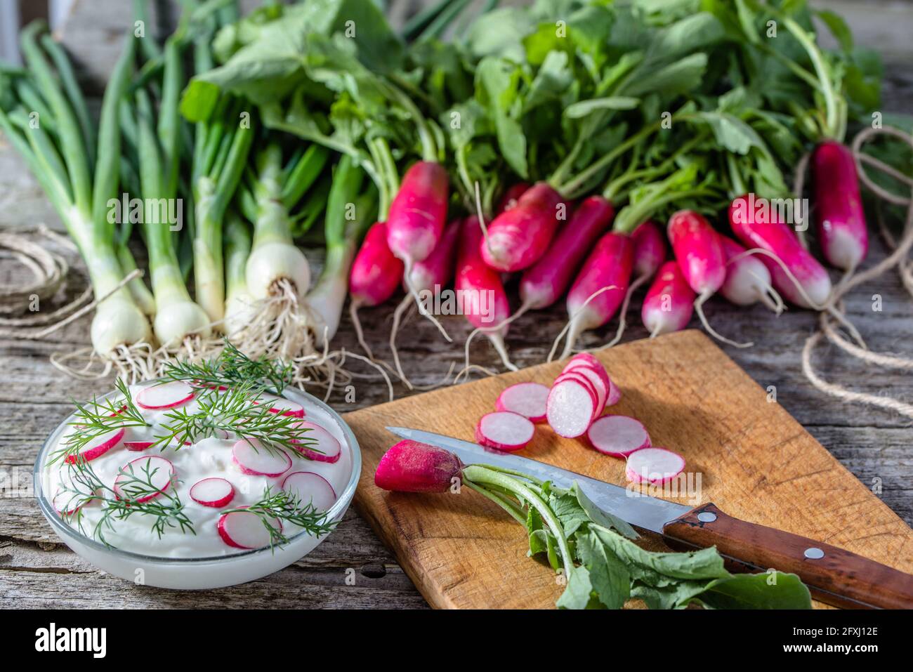 Dietary breakfast, cottage cheese with radish, healthy vegetarian food concept Stock Photo