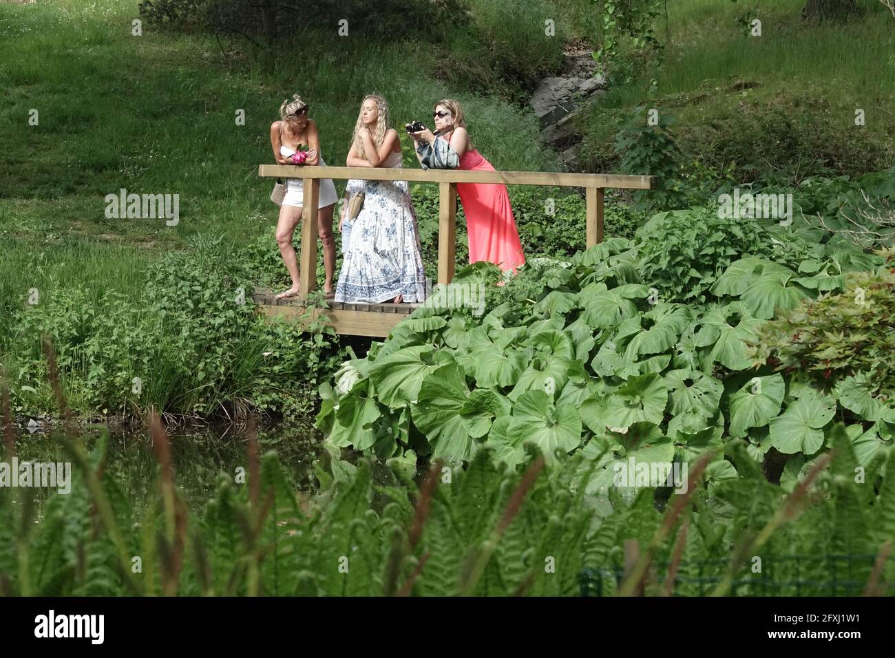 Three women in summer dresses in the park enjoying a nice day, women garden summer Stock Photo