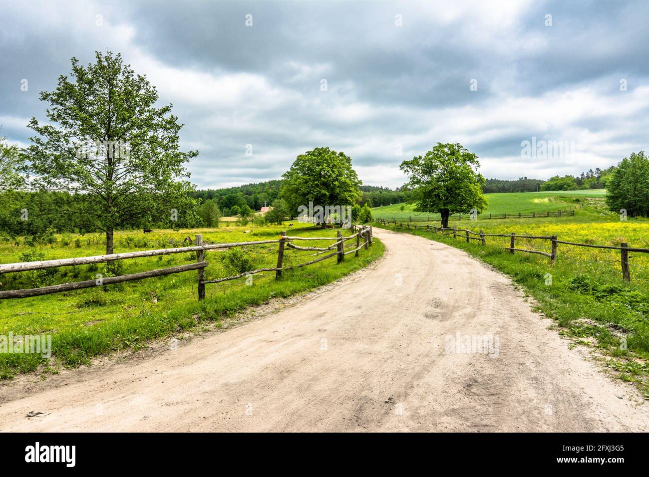 Rural road on farm with green field, spring landscape Stock Photo - Alamy