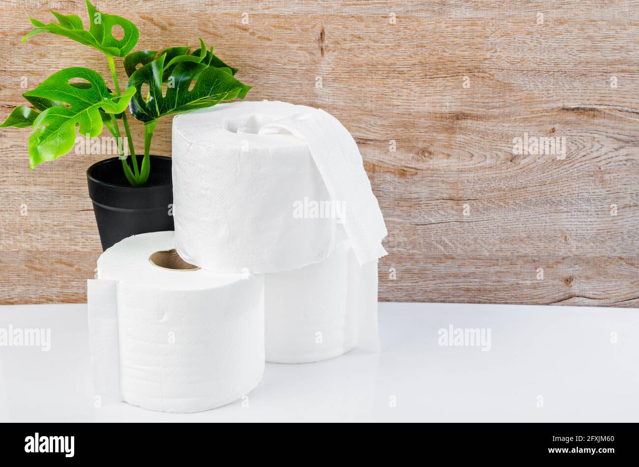 White kitchen paper towel, toilet paper, paper tissues, cotton pads and green leaves on a wooden table Stock Photo