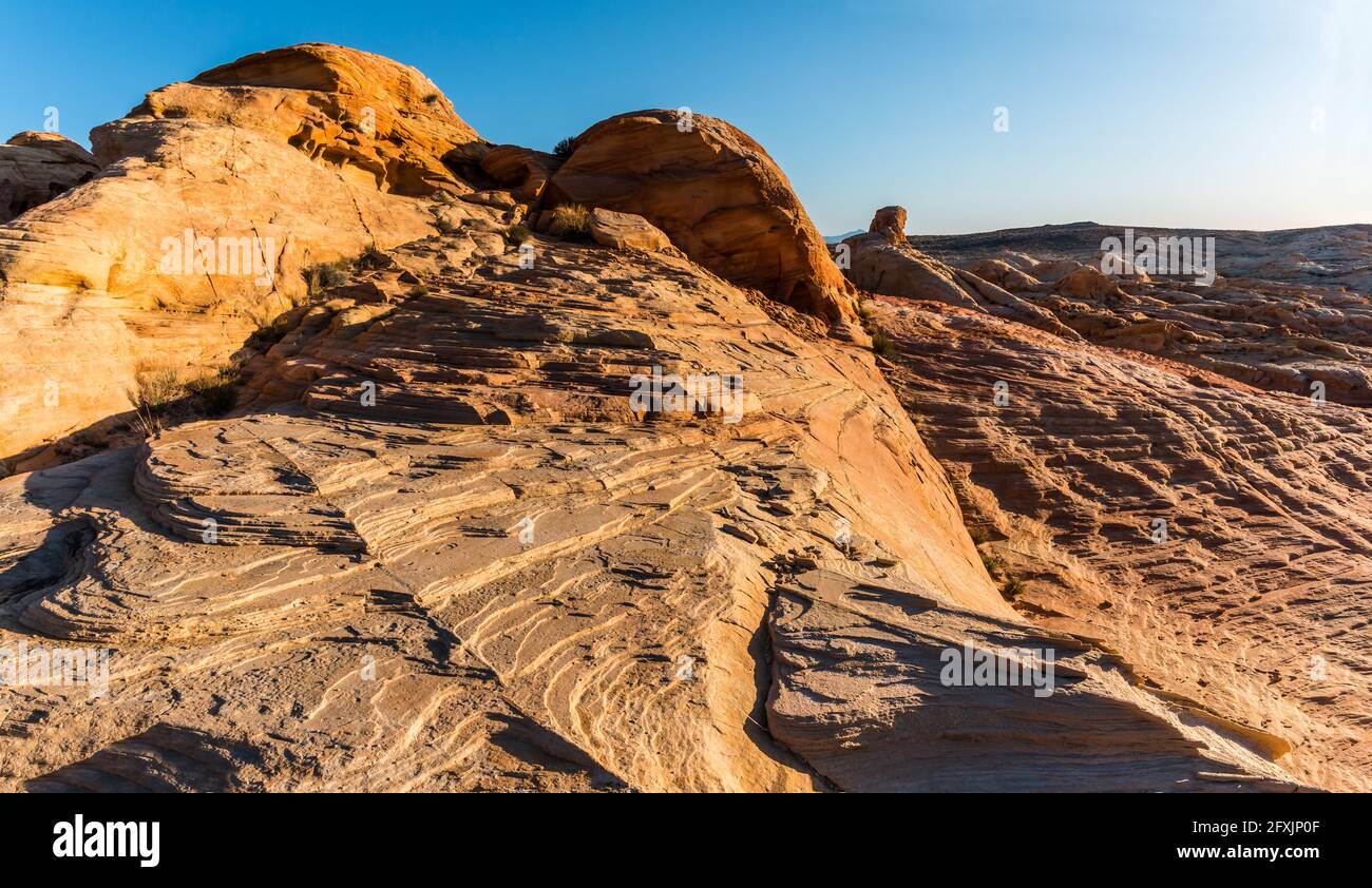 Domes and Towers Formed by Erosion In The Slick Rock Formations of Fire Valley, Valley of Fire State Park, Nevada, USA Stock Photo