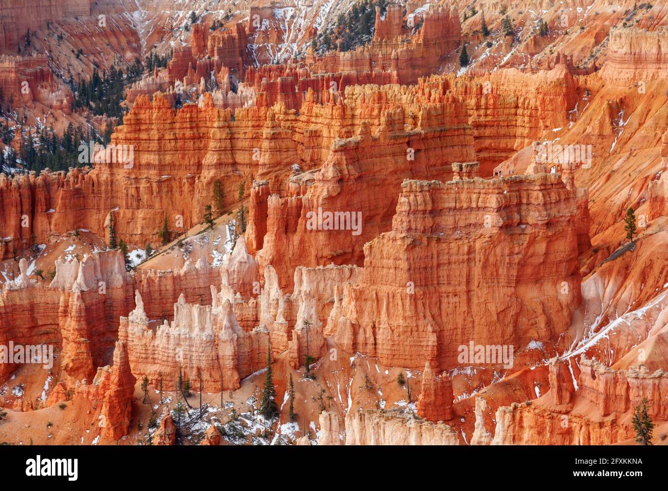 Hoodoos of Bryce Canyon National Park, Utah, USA Stock Photo