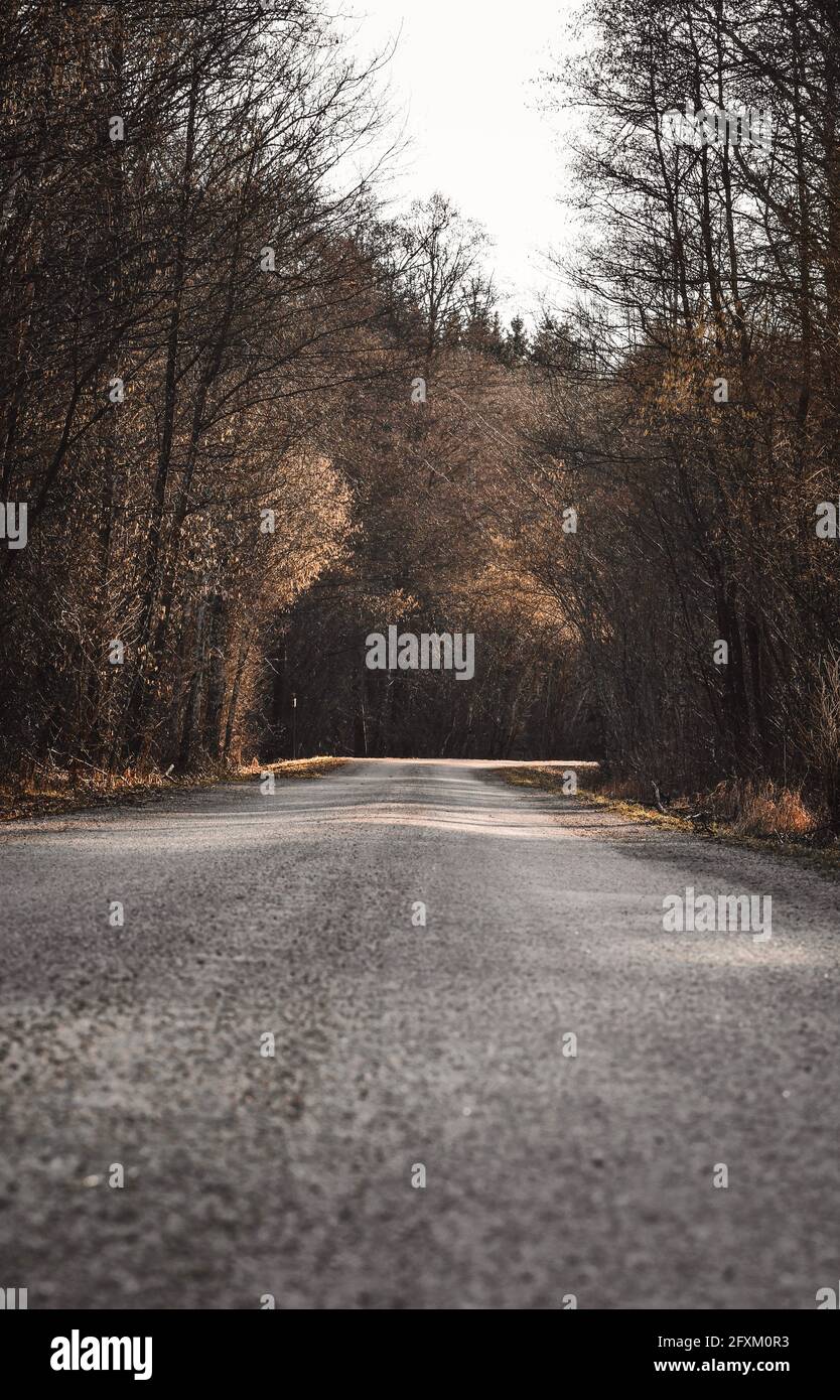 Landscape photo of a country road in the forest during autumn Stock ...