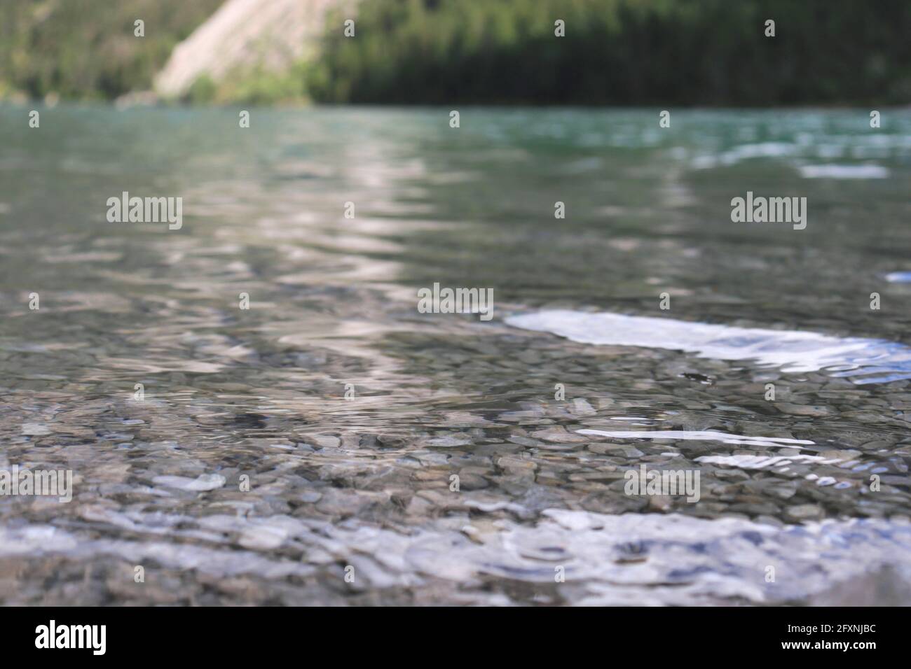 Closeup shot of a seashore with a rocky bottom Stock Photo
