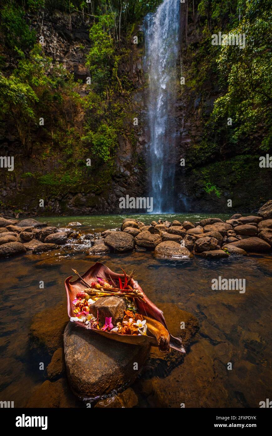 An offering is made to the gods at this sacred pool, Hawaii, United States of America, Pacific Stock Photo