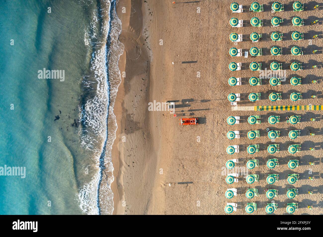 Aerial view of beach umbrellas and sunbeds in tidy rows during summer, Vieste, Foggia province, Gargano, Apulia, Italy, Europe Stock Photo