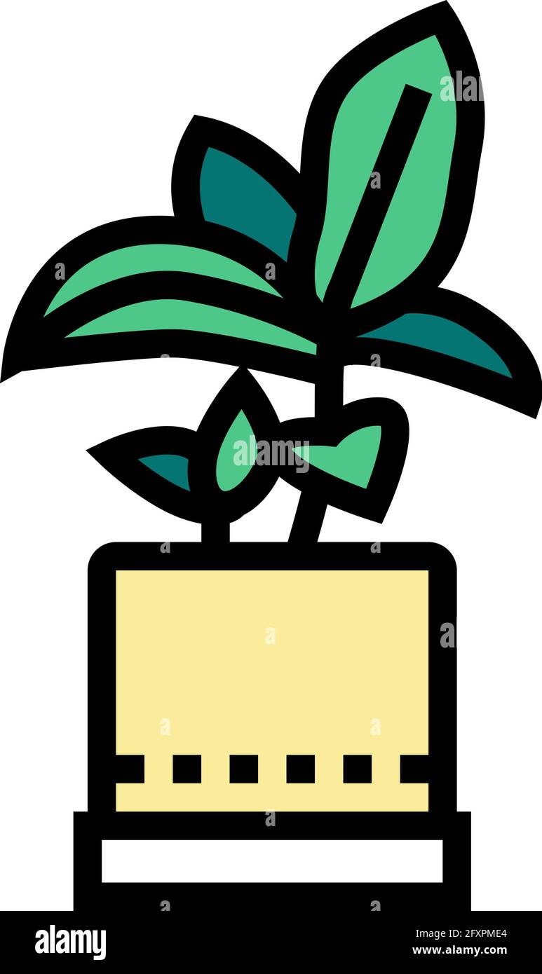 green leaves houseplant in pot color icon vector illustration Stock ...