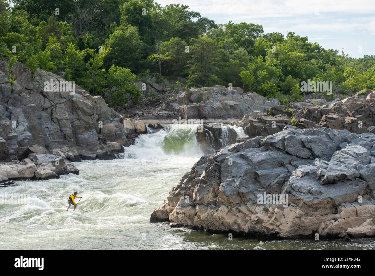 Ian Brown stand up paddle surfs challenging whitewater below Great Falls of the Potomac River, border of Maryland and Virginia, USA, North America Stock Photo