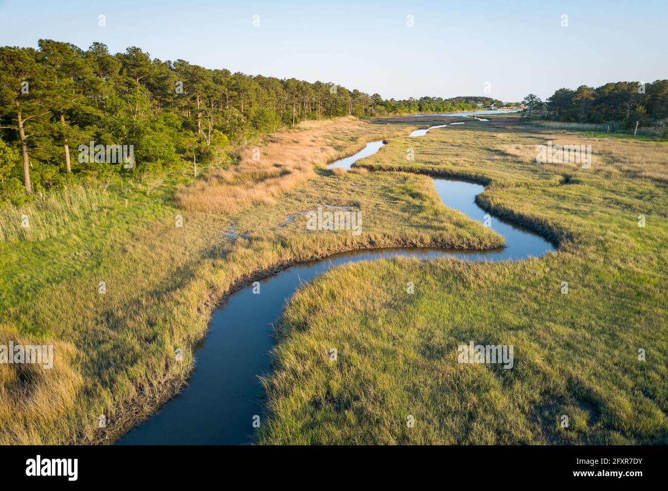 Winding creek through Chesapeake Bay salt water marsh near Hampton, Virginia, United States of America, North America Stock Photo