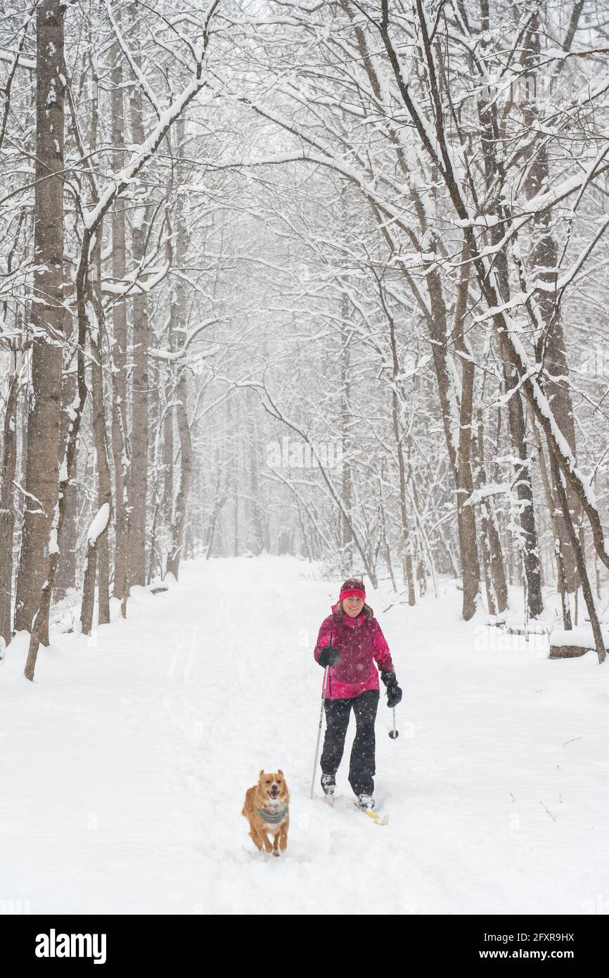 Jennifer Jordan and dog Jack cross country ski the Berma Road near Potomac, Maryland, United States of America, North America Stock Photo