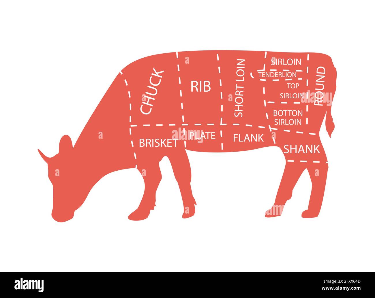 Cut of beef set. Poster Butcher diagram Cow. Vintage typographic hand