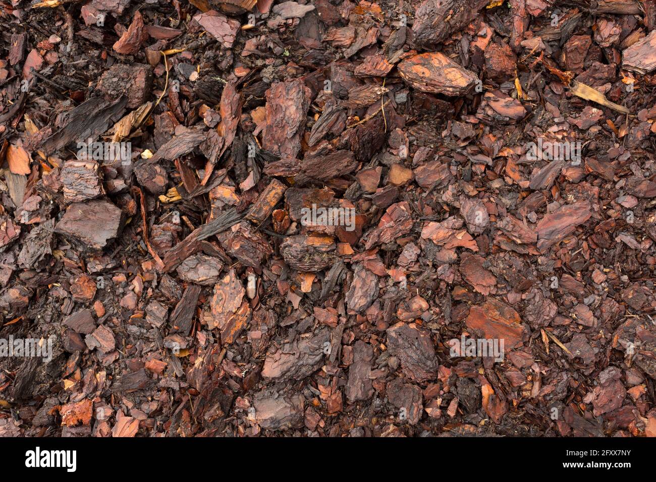 Texture. Woodworking waste. Heaps of chips, bark, pieces and sawdust. Stock Photo