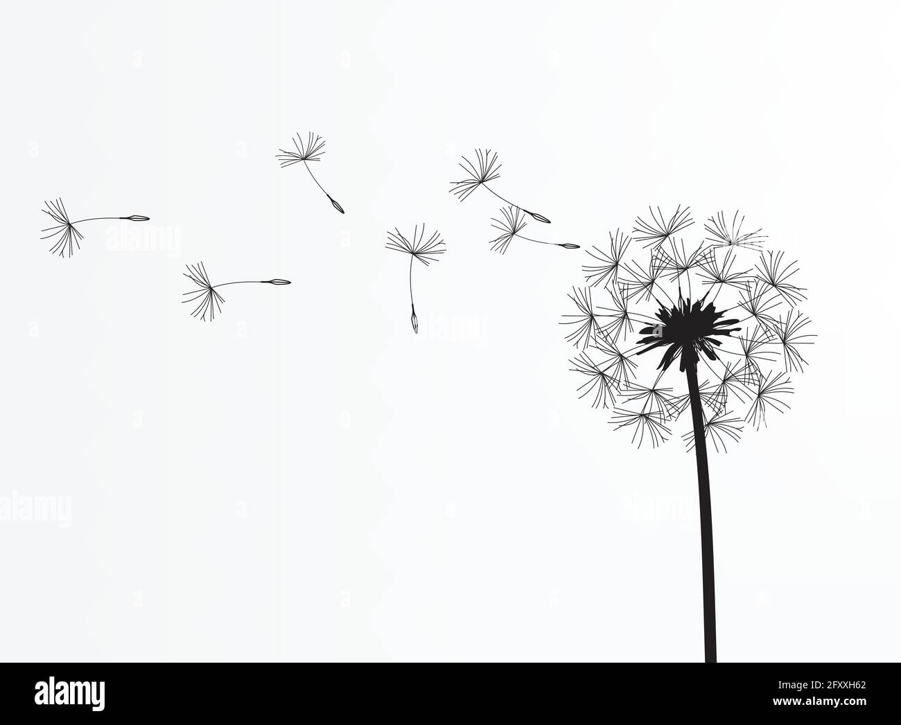 Abstract background of a dandelion for design. The wind blows the seeds of a dandelion. Template for posters, wallpapers, posters. Vector illustration Stock Vector Image & Art - Alamy abstract-background-of-a-dandelion-for-design-the-wind-blows-the-seeds-of-a-dandelion-template-for-posters-wallpapers-posters-vector-illustration-stock-vector-image-art-alamy