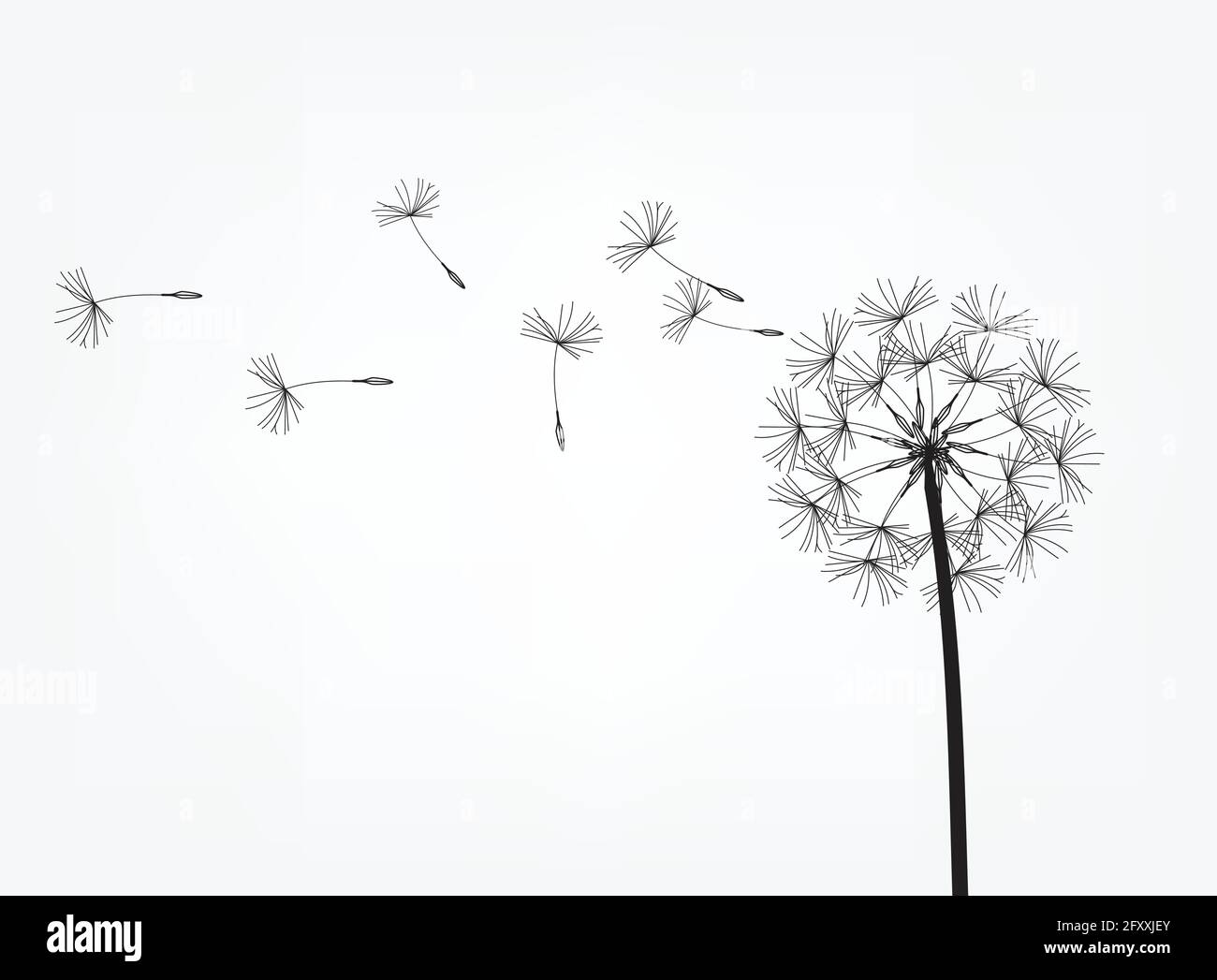 blow-dandelion-vector-vintage-background-hi-res-stock-photography-and-images-alamy