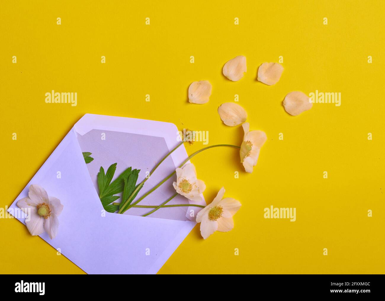 Flowers and petals in an envelope on a yellow background Stock Photo