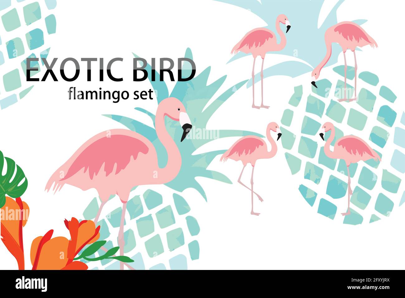 Pineapple exotic fruit and pink flamingo background for typography, t