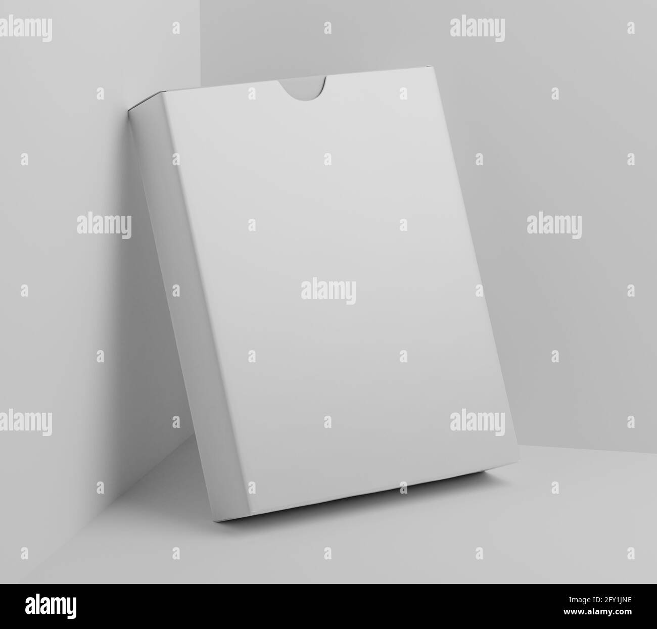 Blank Flat Carton cardboard Box Mockup, White Software Box, package