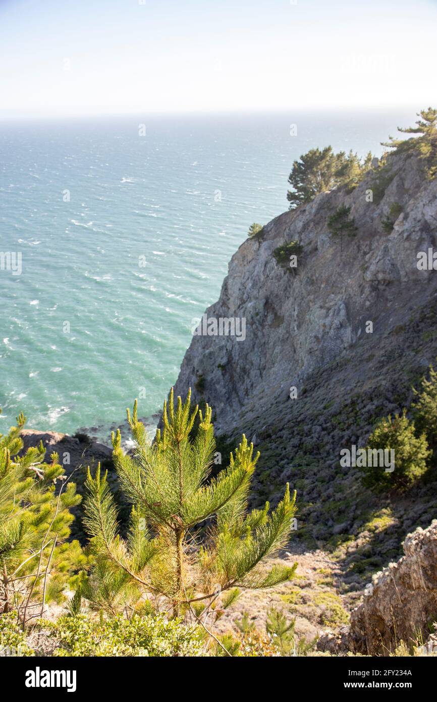Images from the Muir Beach Overlook between Stinson and Muir Beach in
