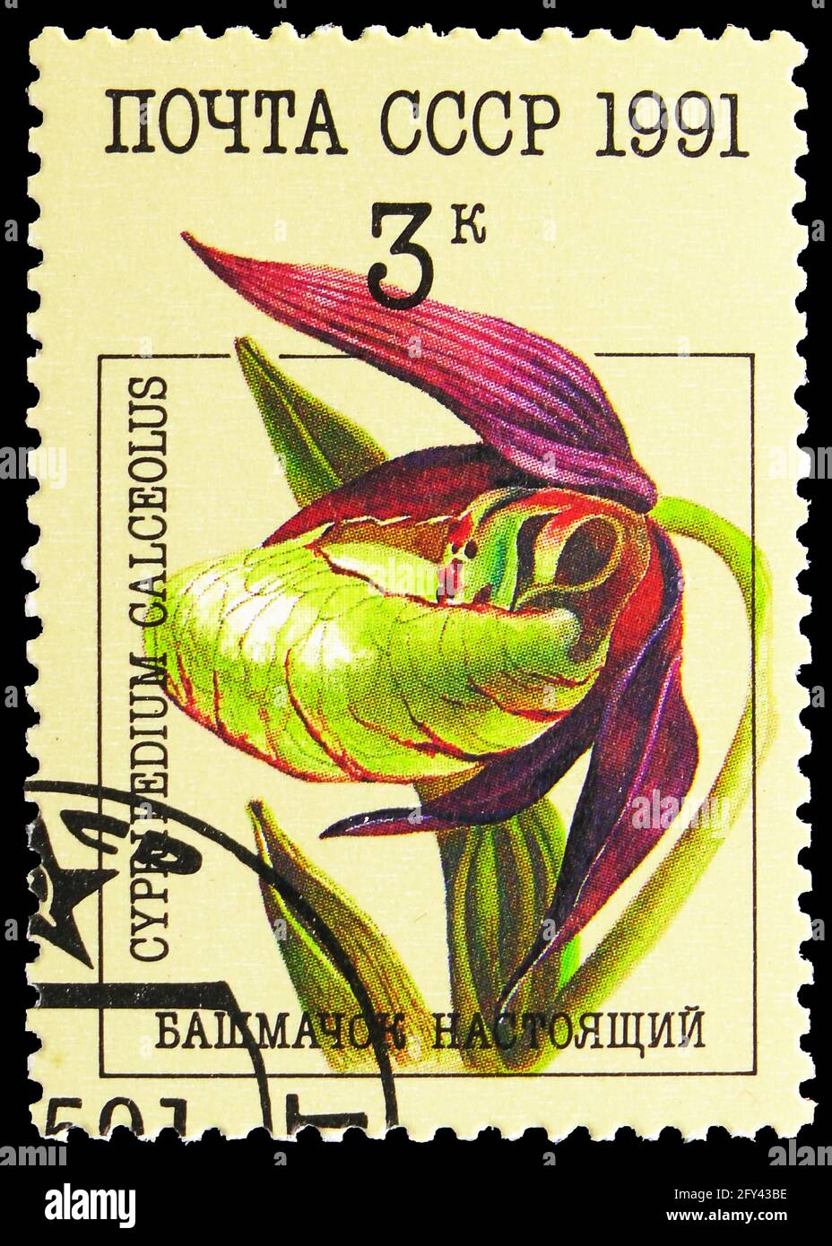MOSCOW, RUSSIA - AUGUST 31, 2019: Postage stamp printed in Soviet Union (Russia) shows Cypripedium calceolus - Lady's-slipper Orchid, Orchids serie, c Stock Photo