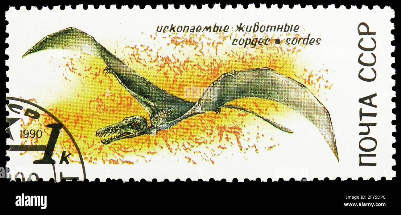 MOSCOW, RUSSIA - AUGUST 31, 2019: Postage stamp printed in Soviet Union (Russia) shows Sordes, Prehistoric Animals serie, circa 1990 Stock Photo