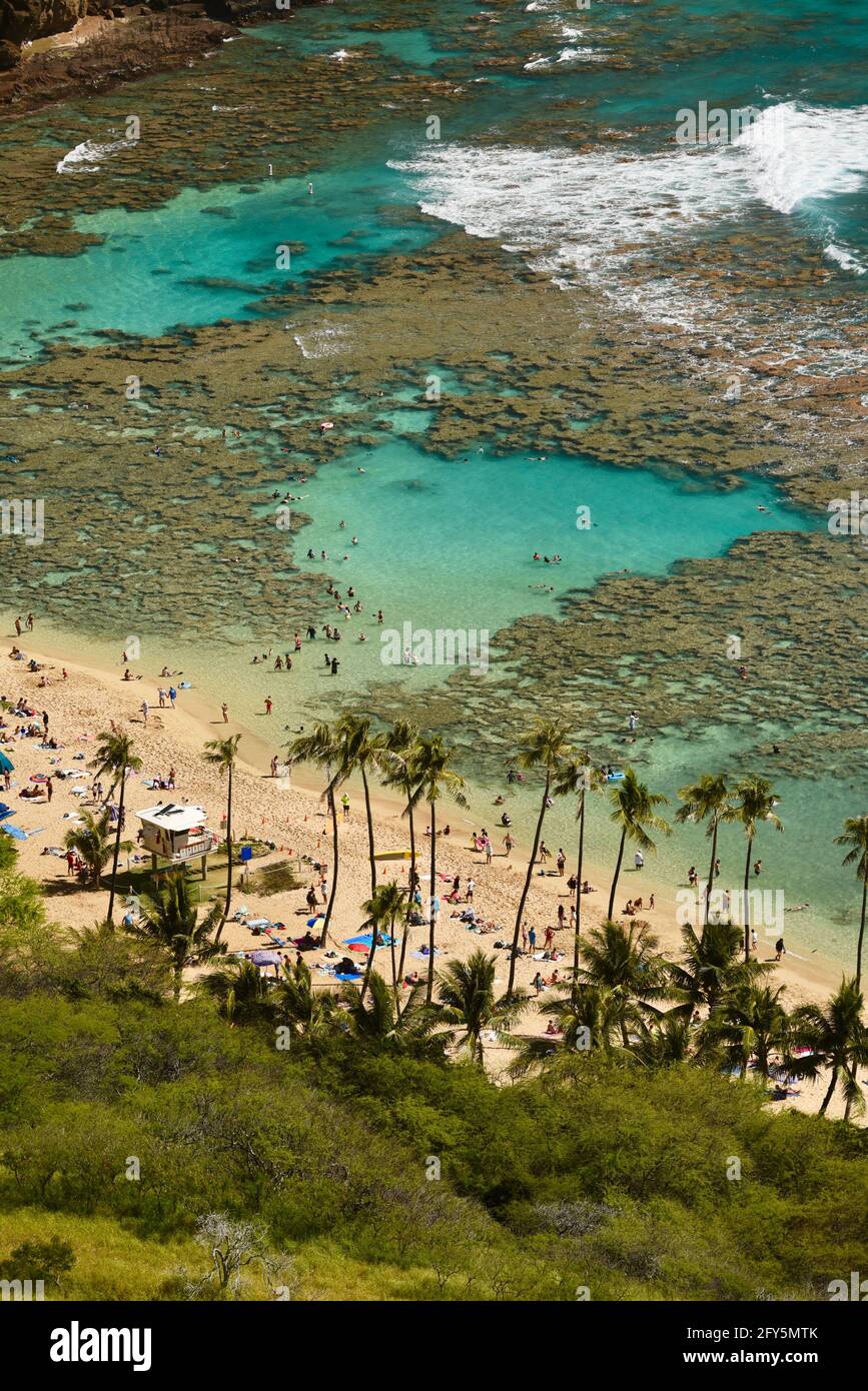 Snorkeling hawaii hi-res stock photography and images - Alamy
