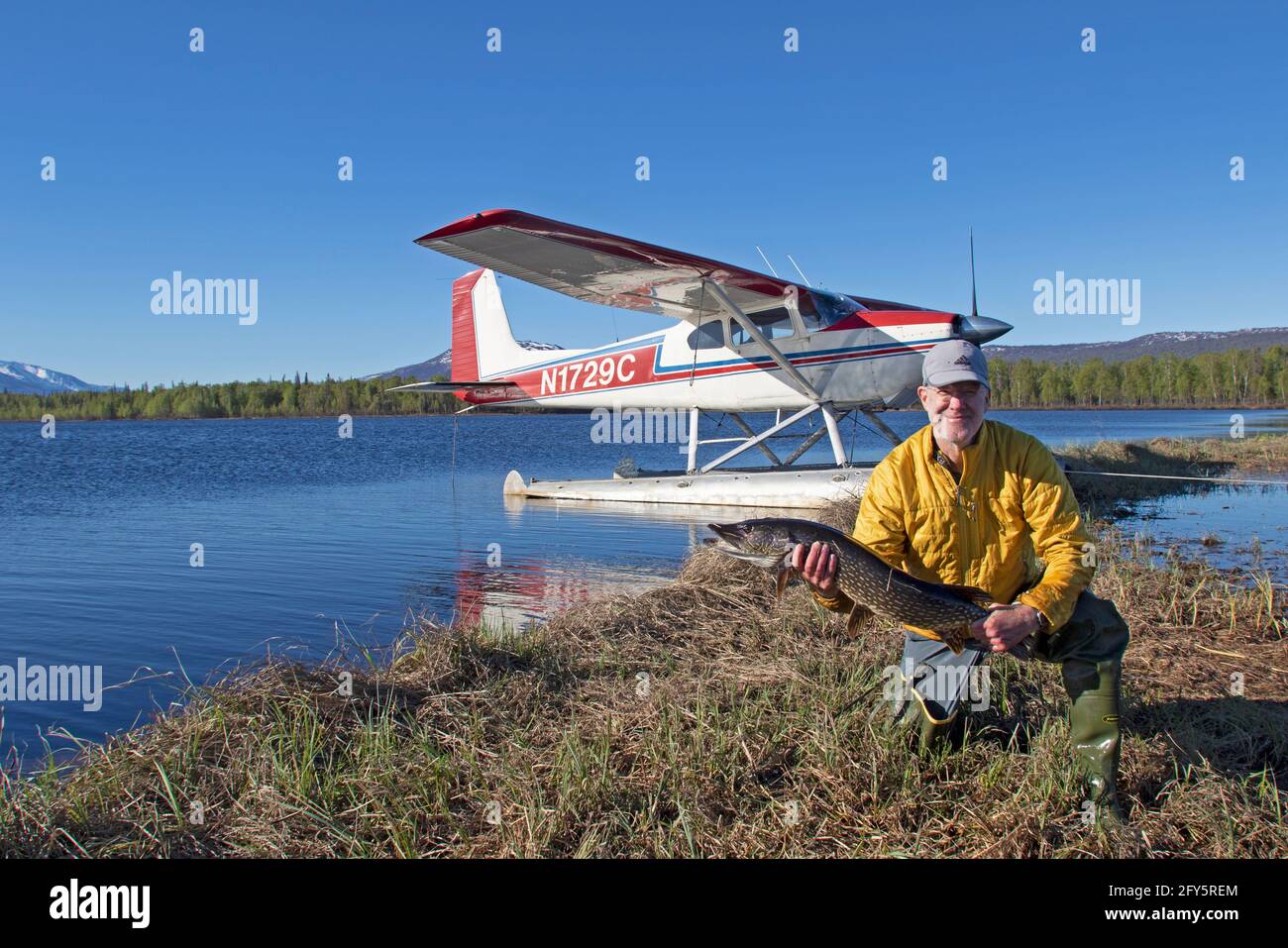 Backed by his private airplane, an angler from Anchorage displays a large northern pike caught in a remote lake in Alaska's Susitna Valley. Stock Photo