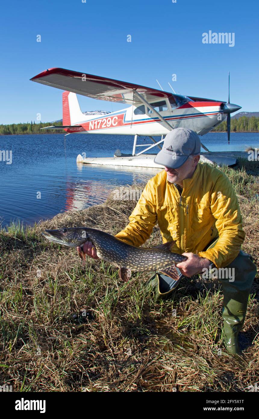 Backed by his private airplane, an angler from Anchorage displays a large northern pike caught in a remote lake in Alaska's Susitna Valley. Stock Photo