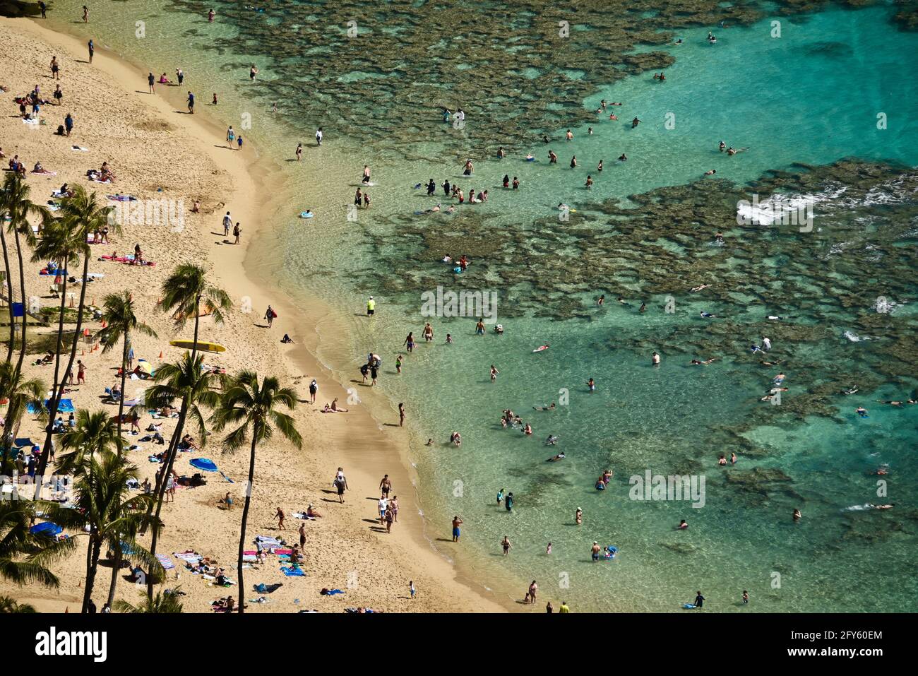 Aerial of calm, turquoise tropical waters and coral reef, Hanauma Bay