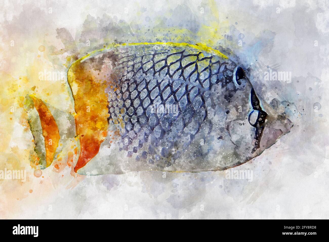 Watercolor illustration of tropic fish pearlscale butterflyfish (Chaetodon xanthurus) Stock Photo