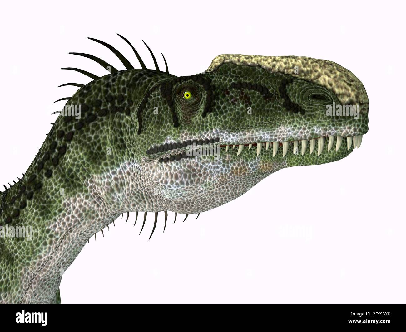 Monolophosaurus was a carnivorous theropod dinosaur that lived in China during the Jurassic Period. Stock Photo