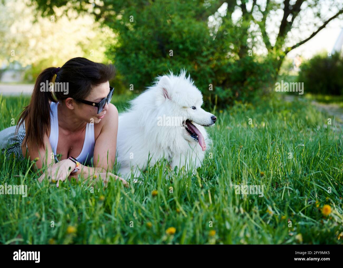 a dog and a girl lying on the grass Stock Photo - Alamy