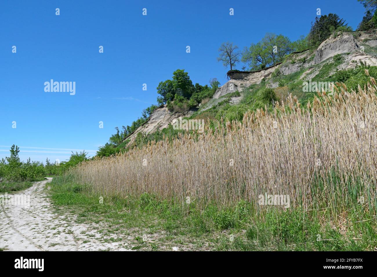 Nature trail below sandstone cliffs, Scarborough Bluffs in Toronto Stock Photo