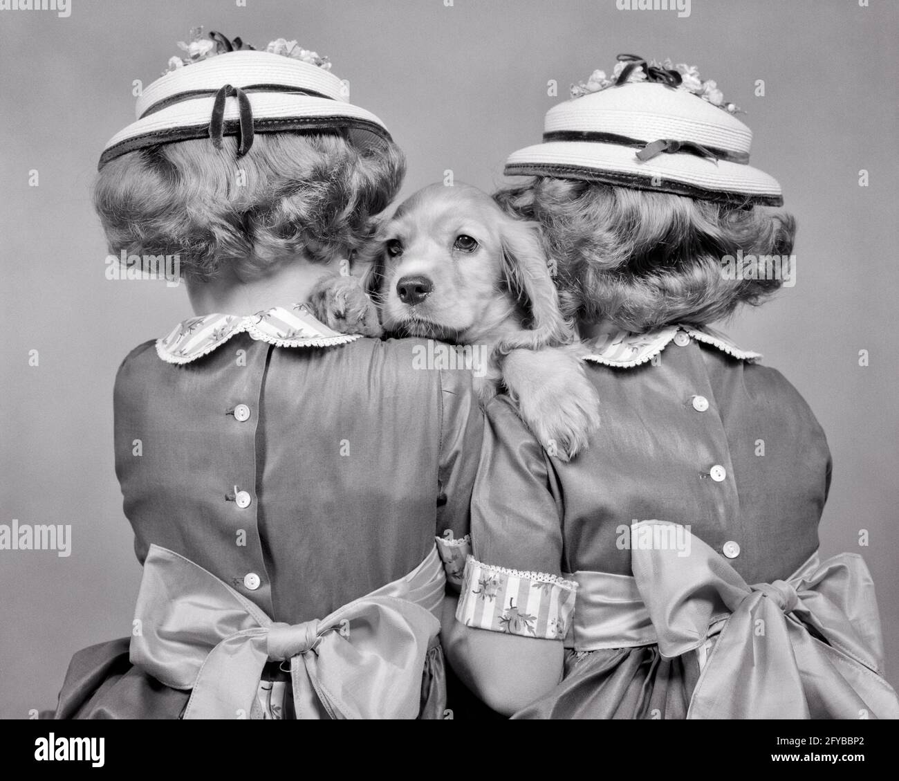 1950s TWO TWIN GIRLS BACK TO CAMERA FANCY HATS AND DRESSES HOLDING COCKER SPANIEL PUPPY LOOKING AT CAMERA BETWEEN THEM  - d2628 HAR001 HARS MATCH FANCY PETS COCKER B&W DRESSES MATCHING SAME MAMMALS AND CANINES REAR VIEW TO BETWEEN SIBLING POOCH THEM FROM BEHIND BOWS LOOK-ALIKE BACK VIEW CANINE DUPLICATE JUVENILES LOOK ALIKE MAMMAL PUP BLACK AND WHITE CAUCASIAN ETHNICITY HAR001 OLD FASHIONED Stock Photo
