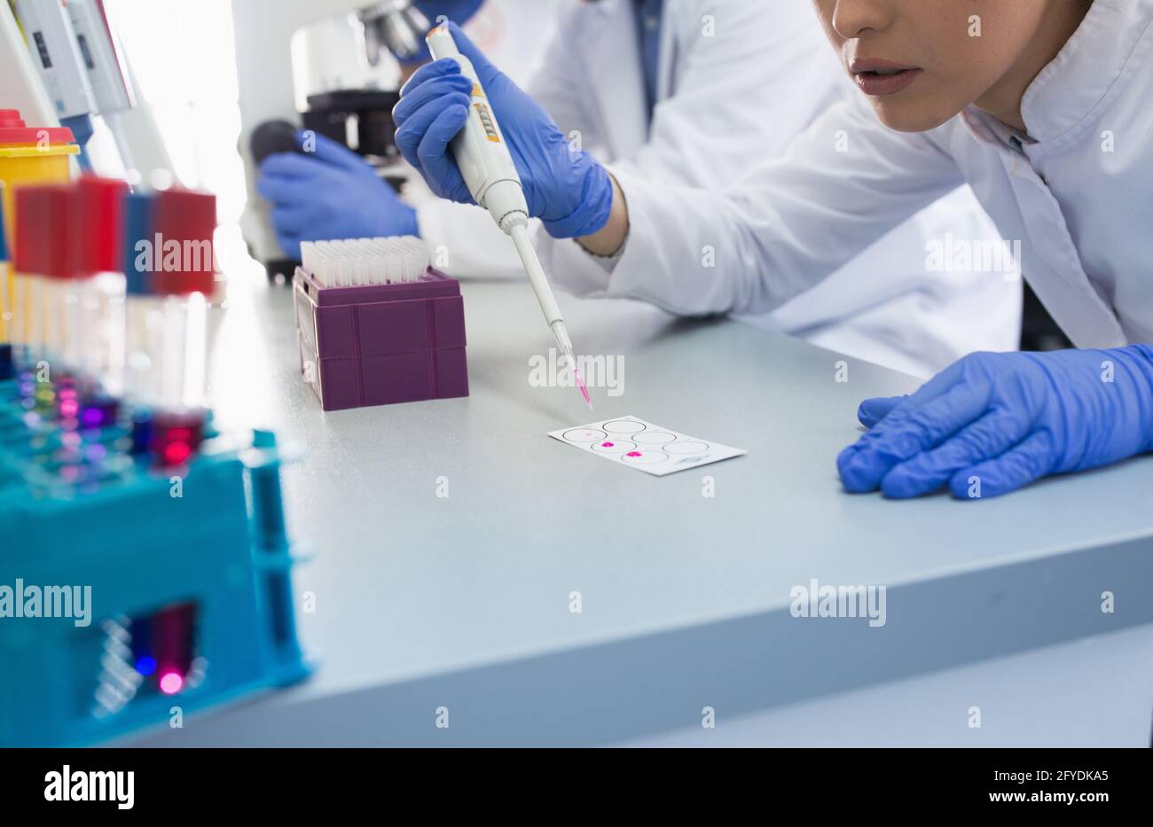 Young scientist using modern medical equipment in laboratory. Woman with pipette preparing samples for microscope. Stock Photo