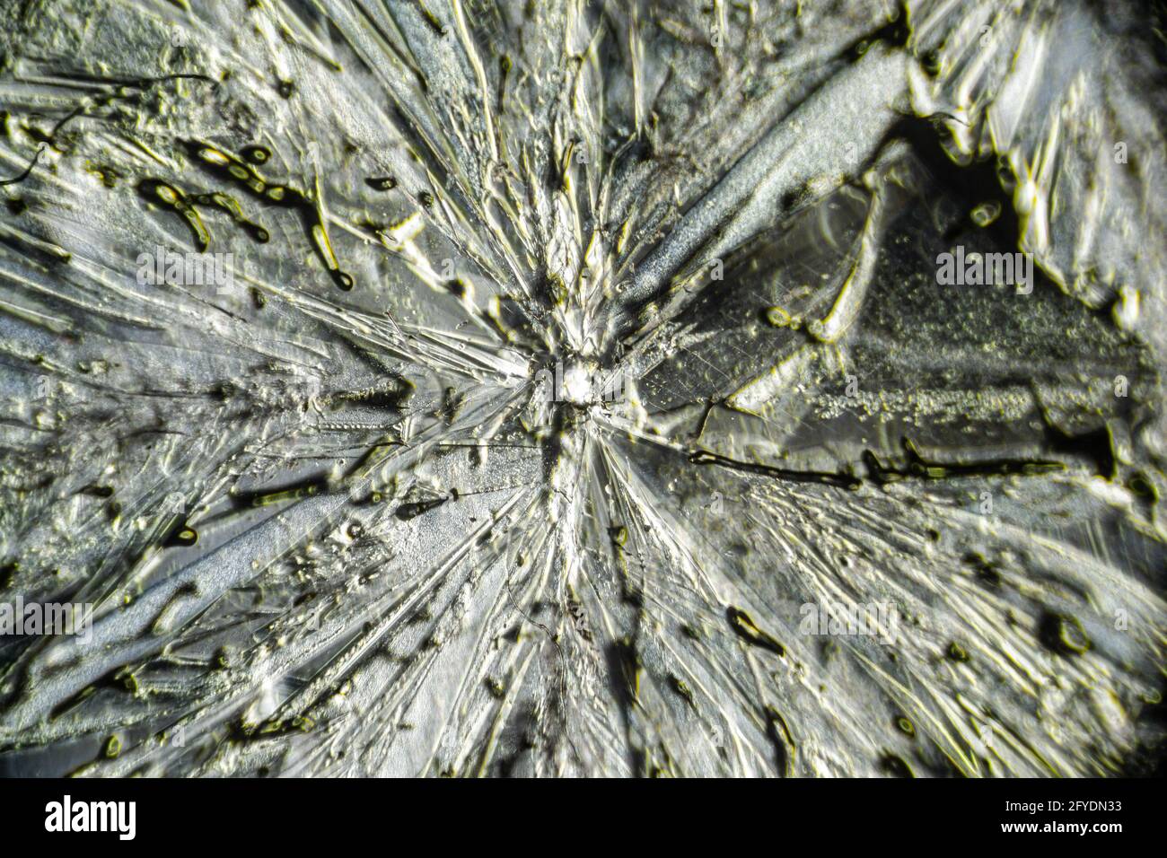 Salt crystal macro close up under the light microscope, magnification ...